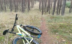 Singletrail im Wald mit Fully